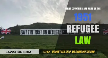 Understanding the 1951 Refugee Convention: Participating Countries Explained