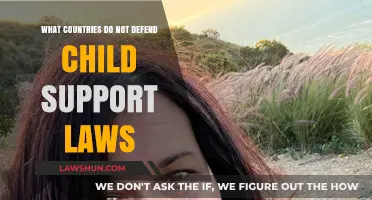 Countries Without Child Support Laws: A Global Overview of Gaps