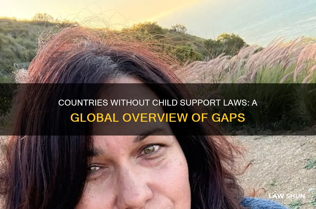 what countries do not defend child support laws