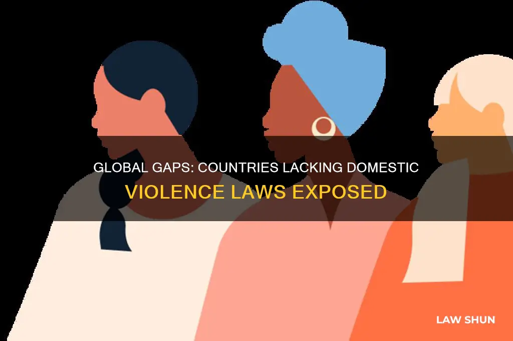 what countries do not have laws against domestic violence