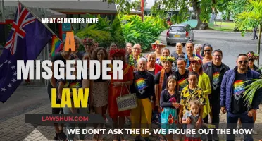 Misgendering Laws: Which Countries Criminalize Gender Misidentification?