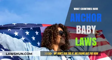 Anchor Baby Laws: Which Countries Allow Citizenship by Birth?