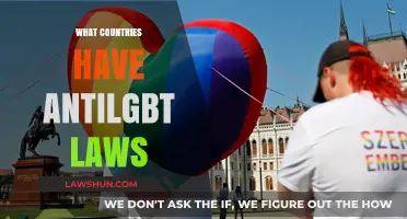 Global Overview: Nations Enforcing Anti-LGBTQ+ Legislation and Policies