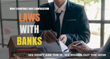 Global Bank Confiscation Laws: Which Countries Can Seize Your Assets?
