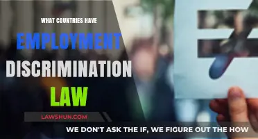 Global Employment Discrimination Laws: Which Countries Protect Workers' Rights?