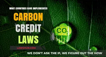 Global Carbon Credit Laws: Which Nations Are Leading the Charge?