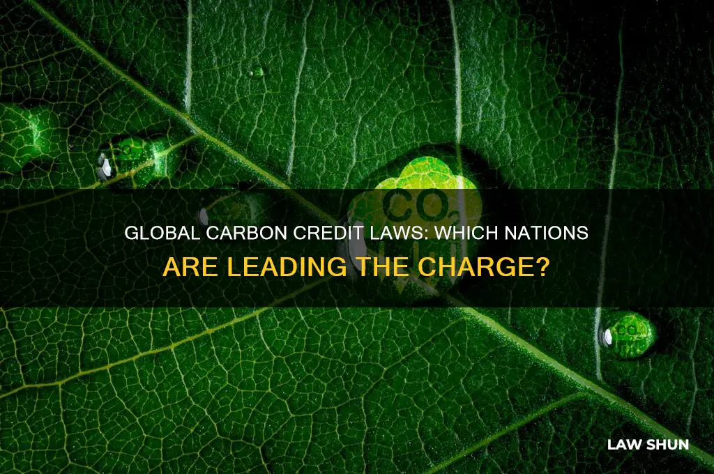 what countries have implemented carbon credit laws