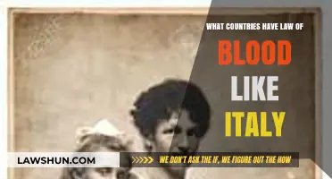 Exploring Jus Sanguinis: Countries Like Italy with Bloodline Citizenship Laws