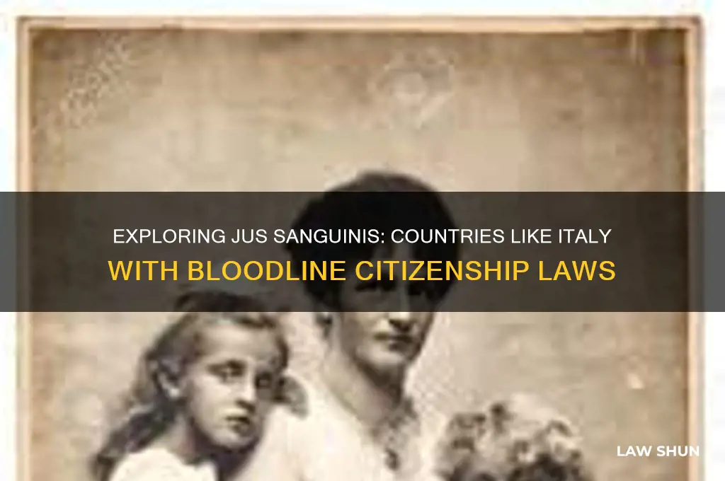 Exploring Jus Sanguinis Countries Like Italy With Bloodline