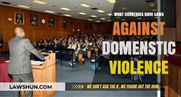 Global Legal Protections: Countries with Laws Against Domestic Violence