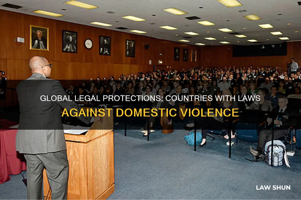 what countries have laws against domenstic violence