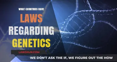 Global Genetic Governance: Exploring Nations with DNA Legislation