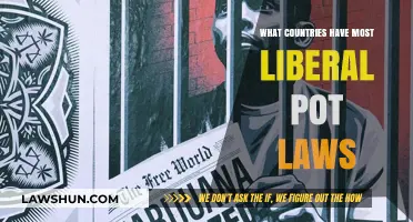 Global Cannabis Freedom: Countries Leading Liberal Marijuana Legalization