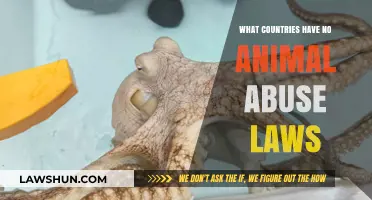 Global Animal Welfare Gap: Nations Lacking Anti-Cruelty Legislation