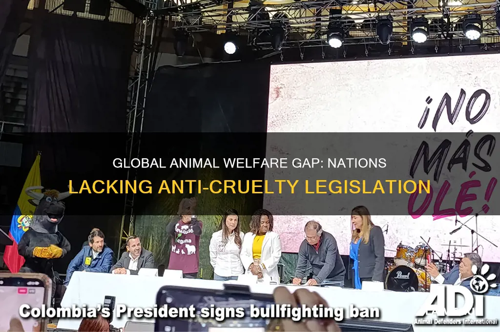 what countries have no animal abuse laws