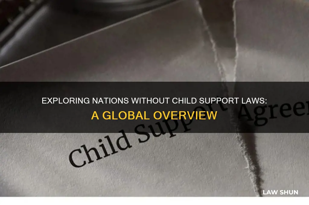 what countries have no child support laws