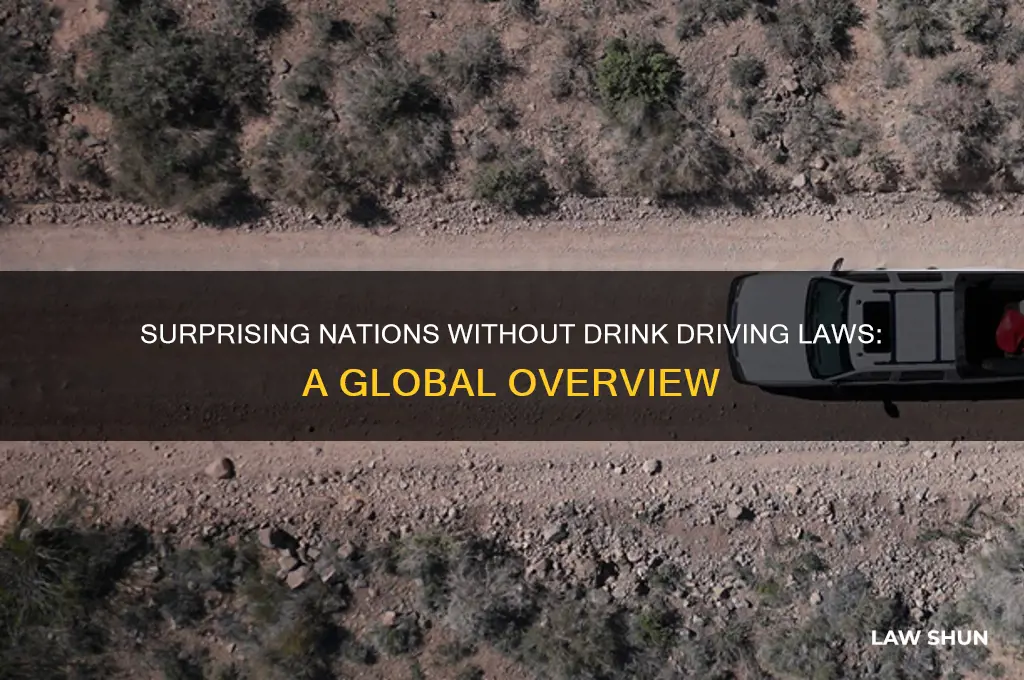 what countries have no drink driving laws