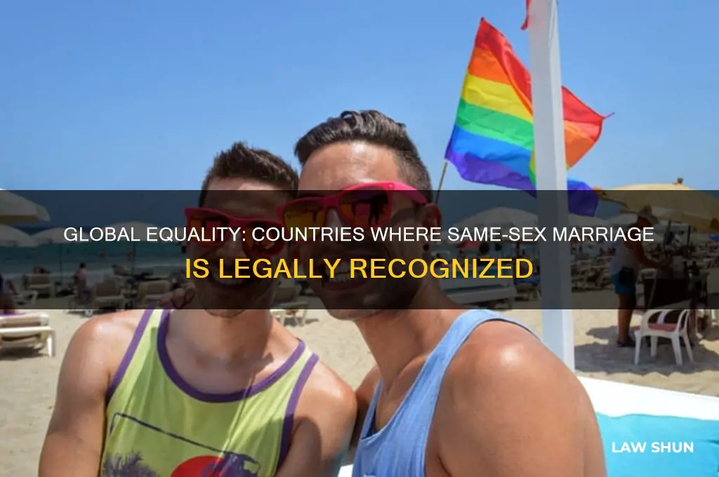 what countries have same sex marriage laws