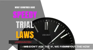 Speedy Trial Laws: Which Nations Prioritize Swift Justice?