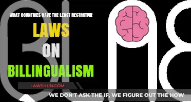 Exploring Nations with the Most Liberal Bilingualism Policies Worldwide
