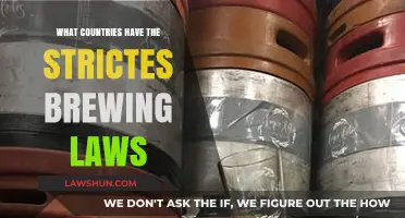 Exploring the World's Strictest Brewing Laws: Which Countries Top the List?