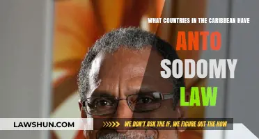 Caribbean Nations with Anti-Sodomy Laws: Current Status and Impact