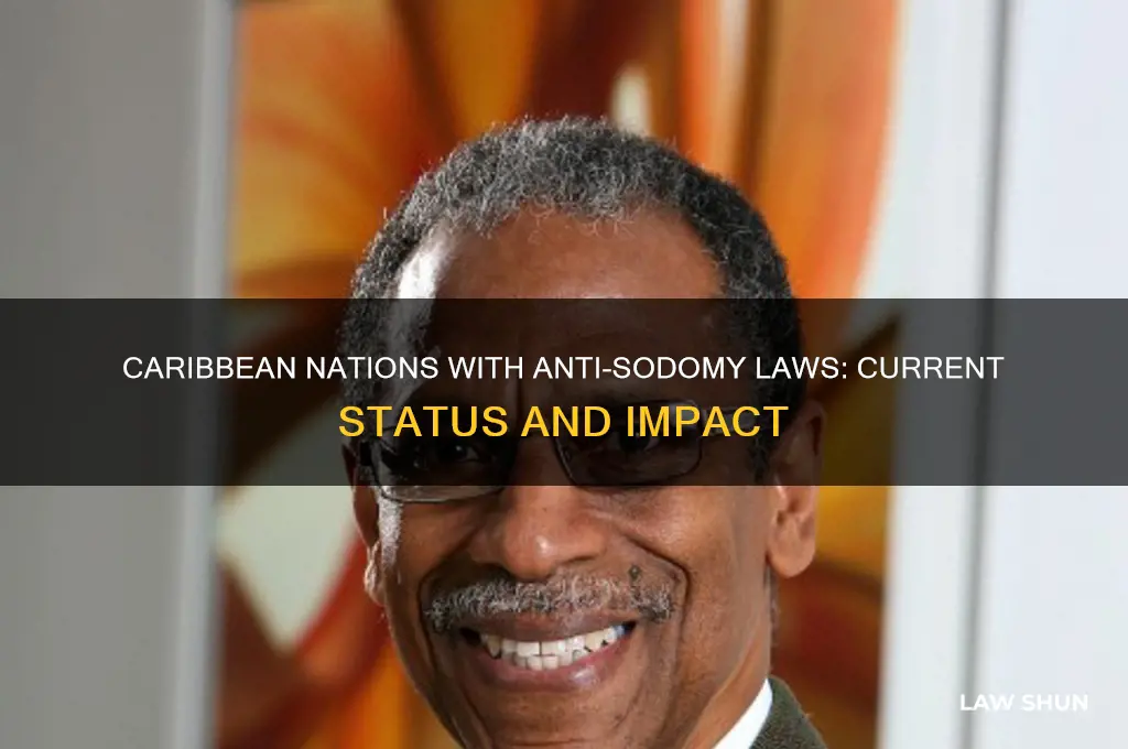 what countries in the caribbean have anto sodomy law