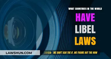 Global Libel Laws: Which Countries Protect Reputation Legally?