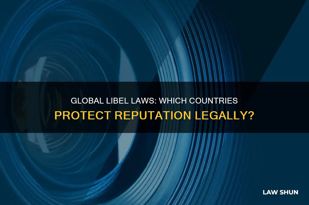 what countries in the world have libel laws