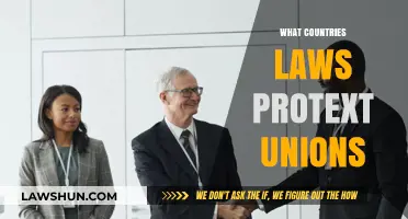 Global Labor Rights: Exploring Countries Where Laws Protect Unions