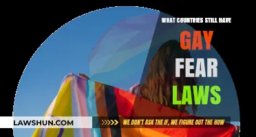 Global LGBTQ+ Rights: Nations Where Homophobia Persists in Law