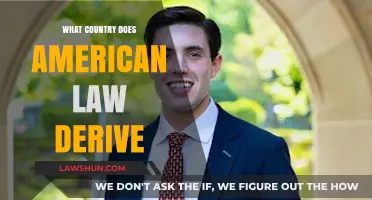 The Roots of American Law: Tracing Its Origins and Influences