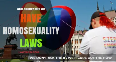 Exploring Nations Without Homosexuality Laws: A Global Perspective