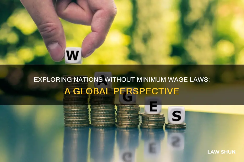 what country does not possess a minimum wage law
