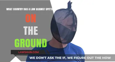 Global Spitting Laws: Which Country Bans Ground Spitting?