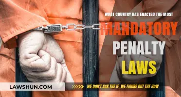 Global Legal Trends: Which Nation Leads in Mandatory Penalty Laws?