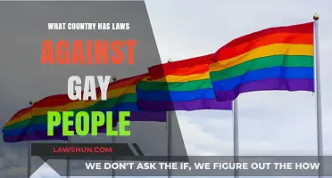 Global LGBTQ+ Rights: Countries Where Homosexuality Remains Criminalized