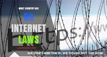 Exploring Nations Without Internet Laws: A Global Digital Freedom Analysis