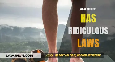 Weird World Laws: Exploring Countries with Ridiculous Legal Rules