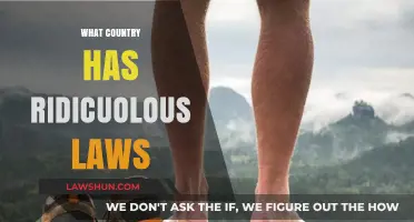 Weird World Laws: Exploring Countries with Ridiculous Legal Rules