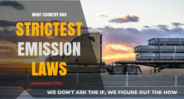Global Leaders: Which Country Enforces the Strictest Emission Laws?