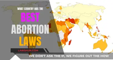 Abortion Laws: Which Country Leads the Way?