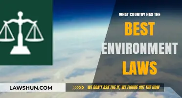 Global Green Leaders: Which Nation Tops Environmental Law Excellence?