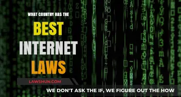 Exploring Global Internet Laws: Which Country Leads in Digital Freedom?