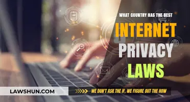 Exploring Global Internet Privacy: Which Country Leads in Data Protection?