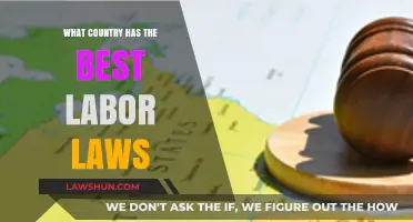 Exploring Global Labor Laws: Which Country Prioritizes Workers' Rights Best?