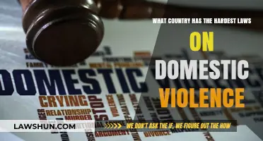 Global Crackdown: Which Nation Enforces Toughest Domestic Violence Laws?