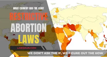 The Most Liberal Abortion Laws Globally