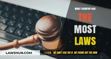 Which Nation Holds the Record for Most Laws Enacted?