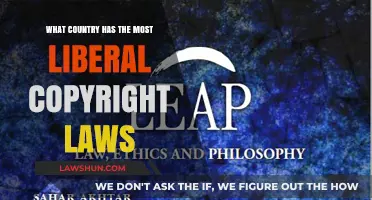 Exploring the World's Most Liberal Copyright Laws: Which Country Leads?